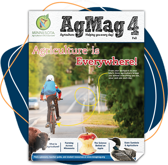 agmag flyer designed by vp